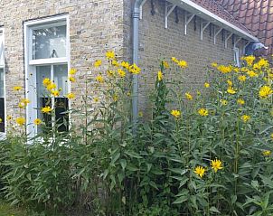 Verblijf 030210 - Vakantiewoning Terschelling - Vakantiehuis in Formerum Terschelling