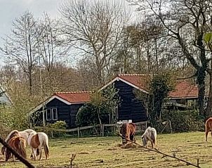 Verblijf 030248 - Vakantiewoning Terschelling - De Trekvogels