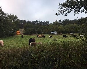 Verblijf 030248 - Vakantiewoning Terschelling - De Trekvogels