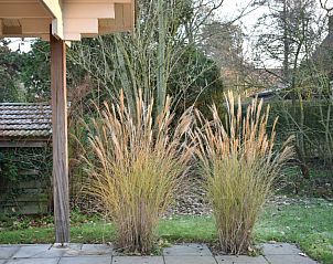 Verblijf 040482 - Bungalow Ameland - Ascona