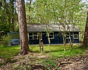 Guest house 180962 • Holiday property Noord Drenthe • Huisje in Norg 