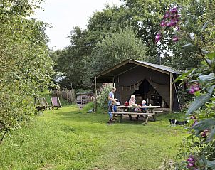 Unterkunft 201282 • Ferienhaus Zuidwest Drenthe • Vakantietent A 