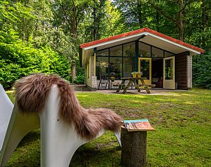 Verblijf 230117 • Vakantiewoning Friese bossen • Vakantiehuisje in Oudemirdum 
