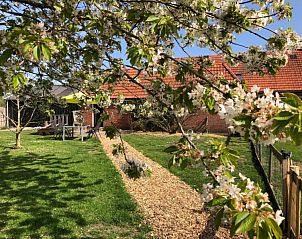 Bloesemrijke tuinpad naar Sturrishuus appartement in Varsseveld, rustiek verblijf in Gelderland.
