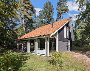 Guest house 321162 • Bungalow Veluwe • Miggelenberg | 8-persoons bungalow | 8CE 