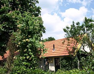 Guest house 322113 • Holiday property Veluwe • Huisje in Wezep 