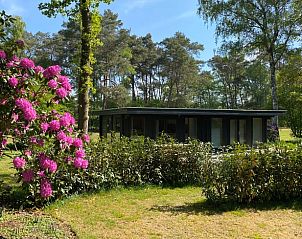 Guest house 325911 • Holiday property Veluwe • Huisje in Bennekom 