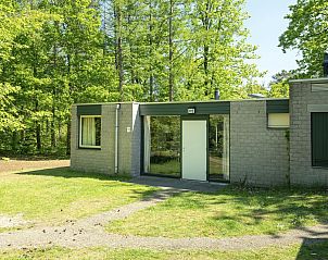 Guest house 413132 • Bungalow Kempen • Het Vennenbos | 4-persoons bungalow | 4B1 