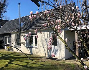 Guest house 432201 • Holiday property Noordoost Brabant • Huisje in Gemert 