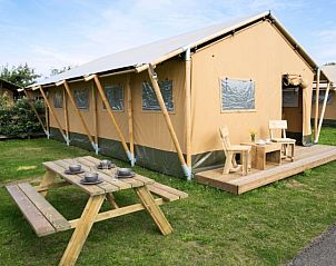 Guest house 450494 • Tent house Noordzeekust • Safaritent 6 persoons. 
