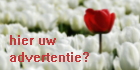 hier adverteren? klik voor meer informatie