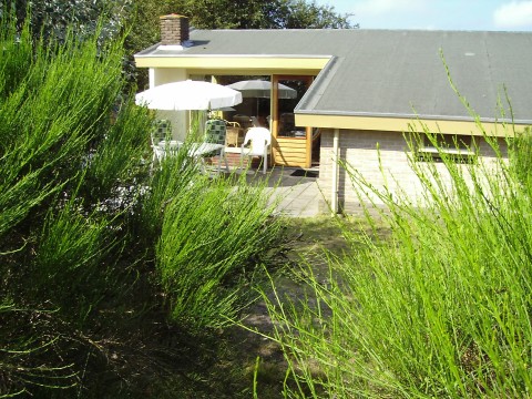 Verblijf 040140 � Bungalow Ameland � ouwe polle 