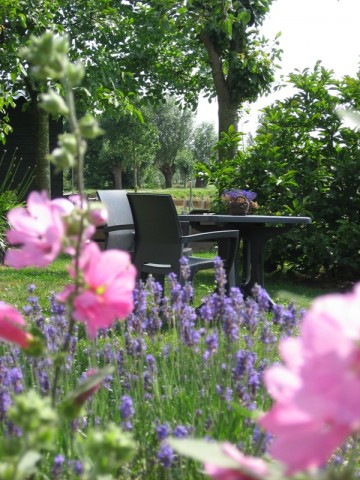 Verblijf 650501 &bull; Bed and breakfast Zuid-Holland &bull; Broeks 'bed en brood 