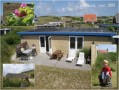 Verblijf 020143 • Vakantiewoning Waddeneilanden • Albatros