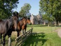 Verblijf 262601 • Bed and breakfast Friesland • Logement Doosje