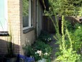 Bed and breakfast te Dieren, Veluwe
