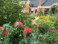 Verblijf 330901 • Bed and breakfast Groningen • walsemaweer