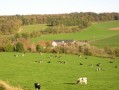Verblijf 390905 • Appartement Limburg • App. Landgoed Karsveld