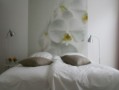 Bed and breakfast te Amsterdam-Centrum, Amsterdam eo