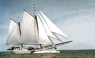 Schepen