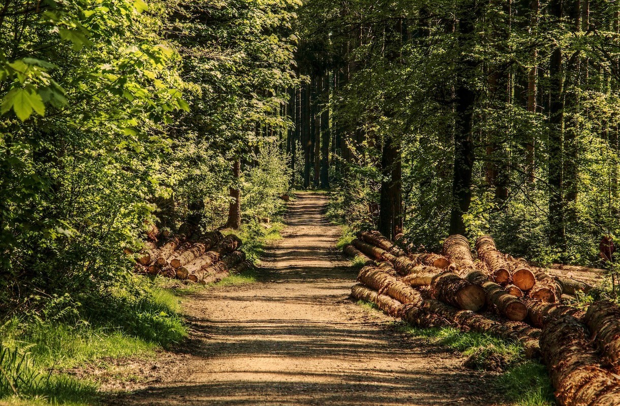 De leukste vakantiebestemmingen in de natuur
