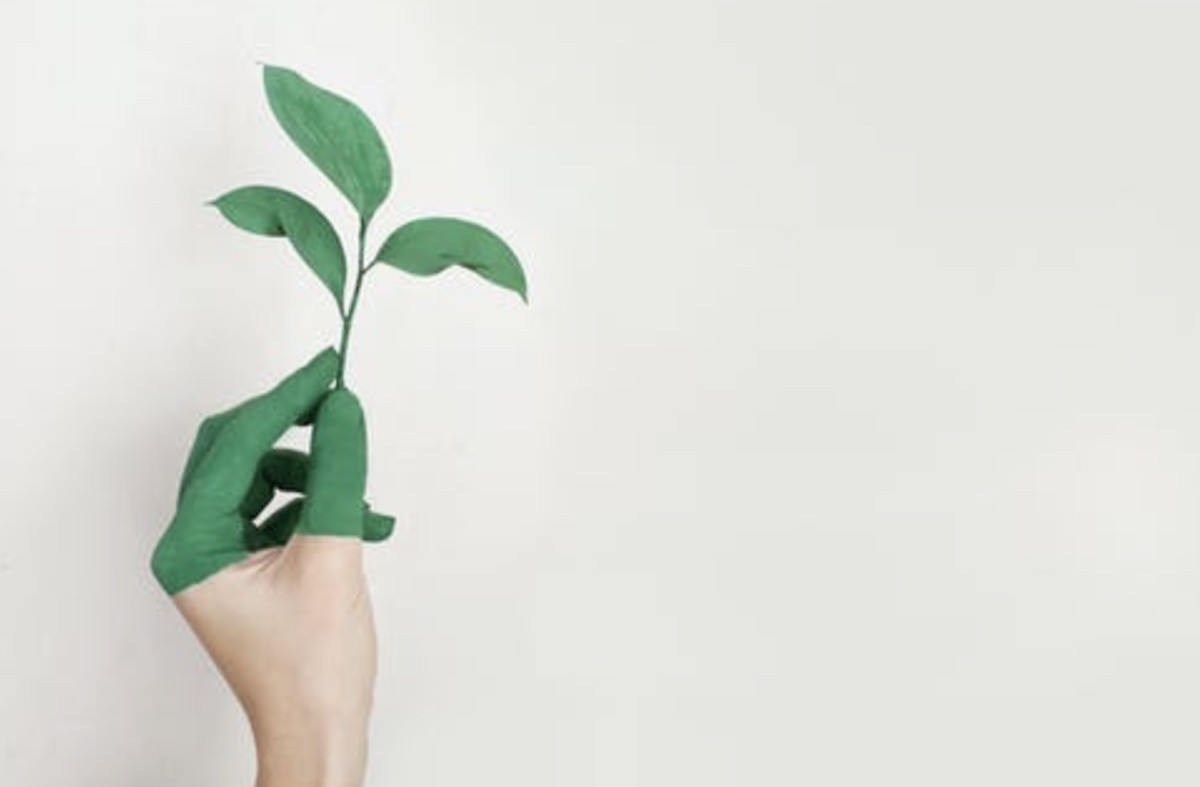 Groen zonder onderhoud
