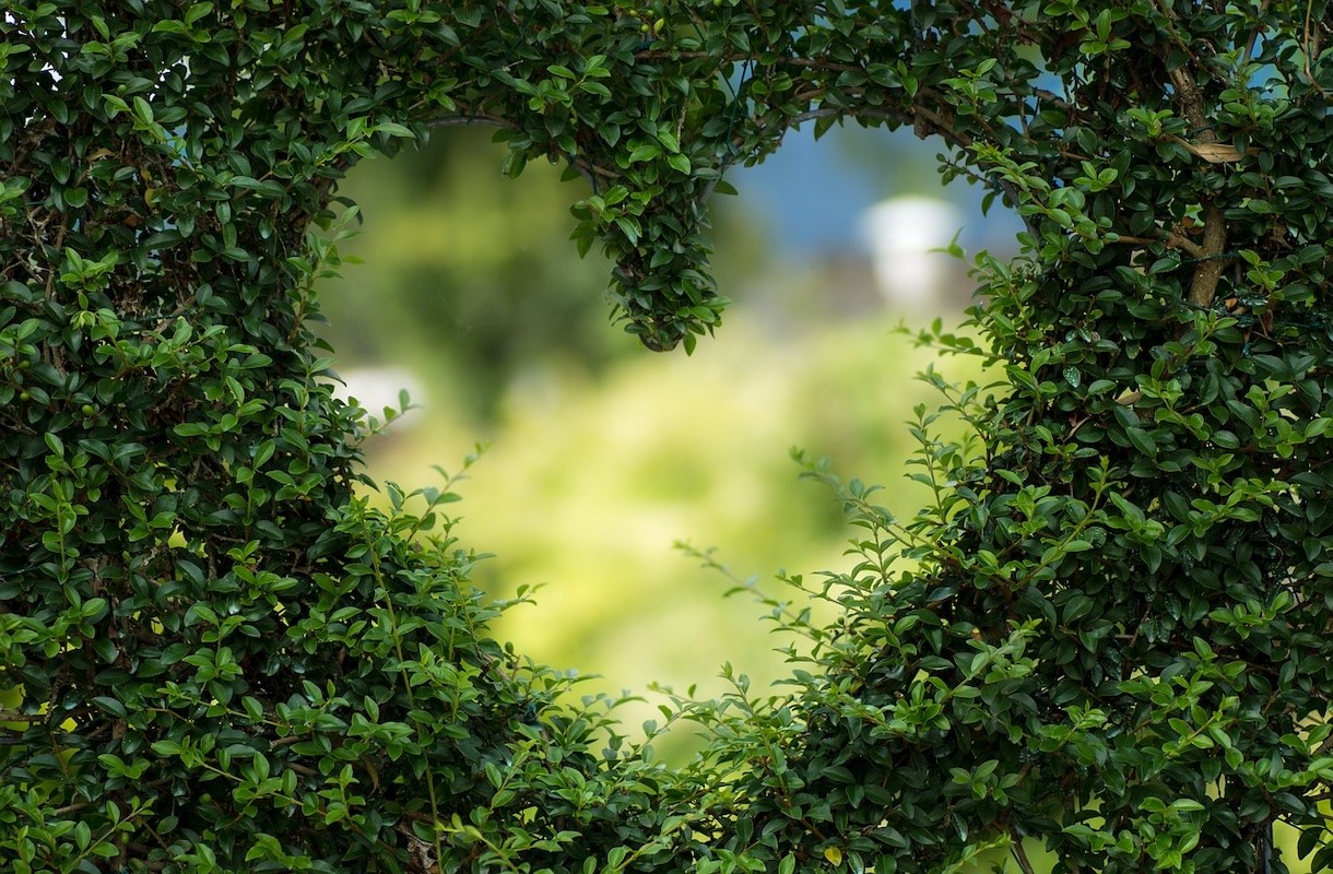 Het creëren van de perfecte tuin voor je vakantiehuis: Tips en ideeën