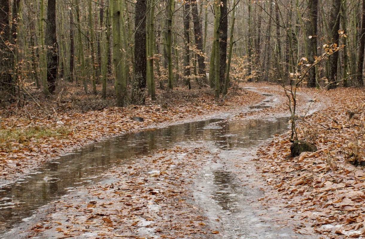 Regenproof uitje vanuit je vakantiehuis in Brabant