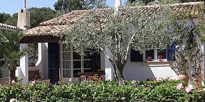 Is reizen nog steeds de ultieme ontsnapping, of zoeken mensen plezier dichter bij huis?