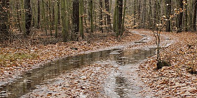 Regenproof uitje vanuit je vakantiehuis in Brabant