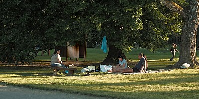 Zo vind je het ideale vakantiepark voor jouw vakantie