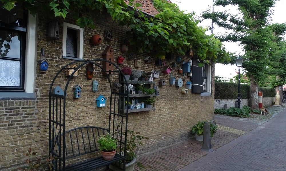 Guest house 010102 - Bungalow Texel - 419