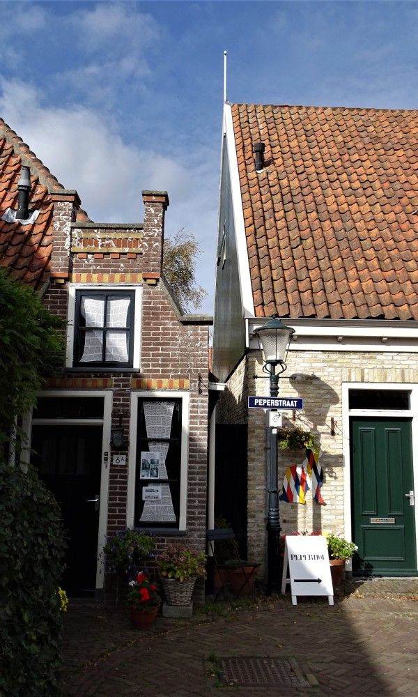 Guest house 010102 - Bungalow Texel - 419