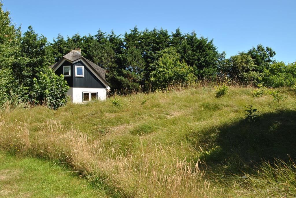 Velduil Unterkunft in De Cocksdorp Texel, in gruener Umgebung gelegen.