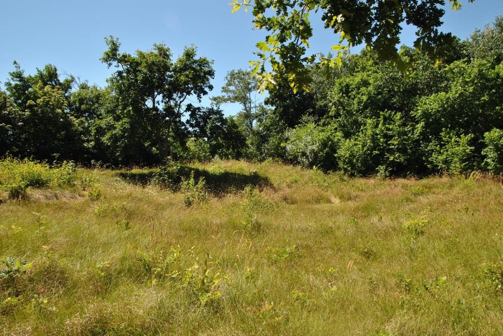 Natuerliche Umgebung rund um das Ferienhaus Velduil in De Cocksdorp Texel, ideal zum Entspannen.