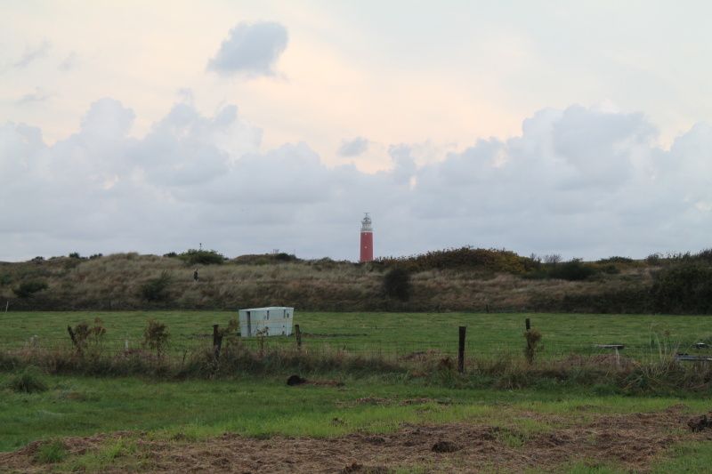 View of lighthouse from Dune/lighthouse view detached vacation home in De Cocksdorp, Texel surrounded by nature.