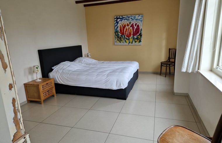 Unterkunft 0101233 - Ferienhaus Texel - Huisje in De Cocksdorp