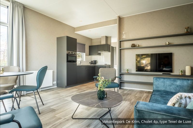 Stylish living room of Chalet type Texel de Luxe in De Cocksdorp, Texel with modern kitchen.