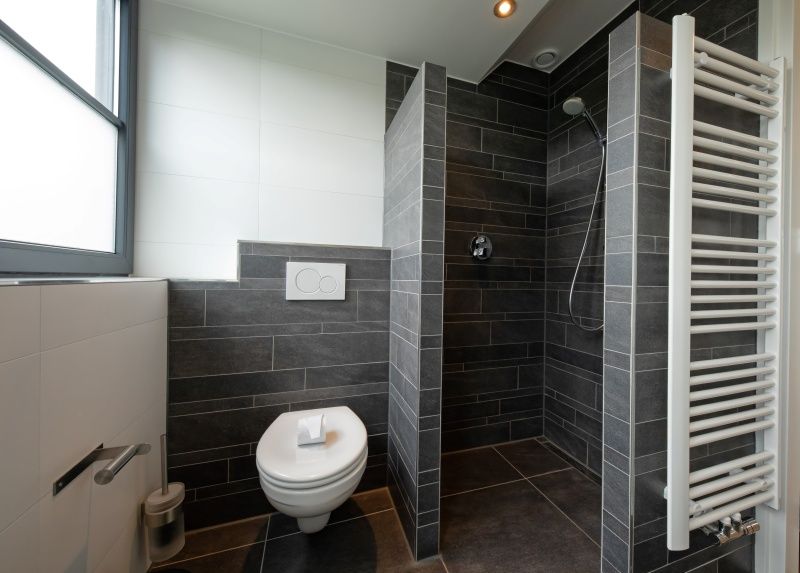 Luxury bathroom in Holiday home Slufteroord 240, De Cocksdorp with modern shower and toilet.