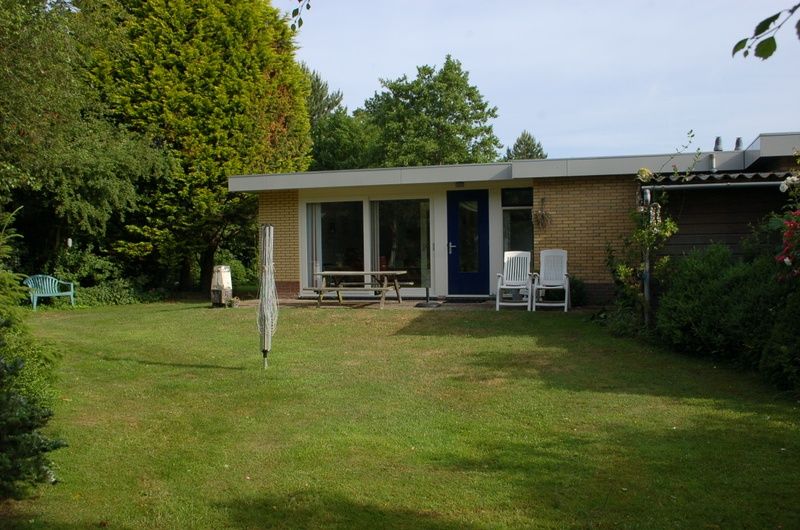 Rueckansicht des Bungalows Tamarisk 212, Texel mit sonnigem Garten und Terrasse.