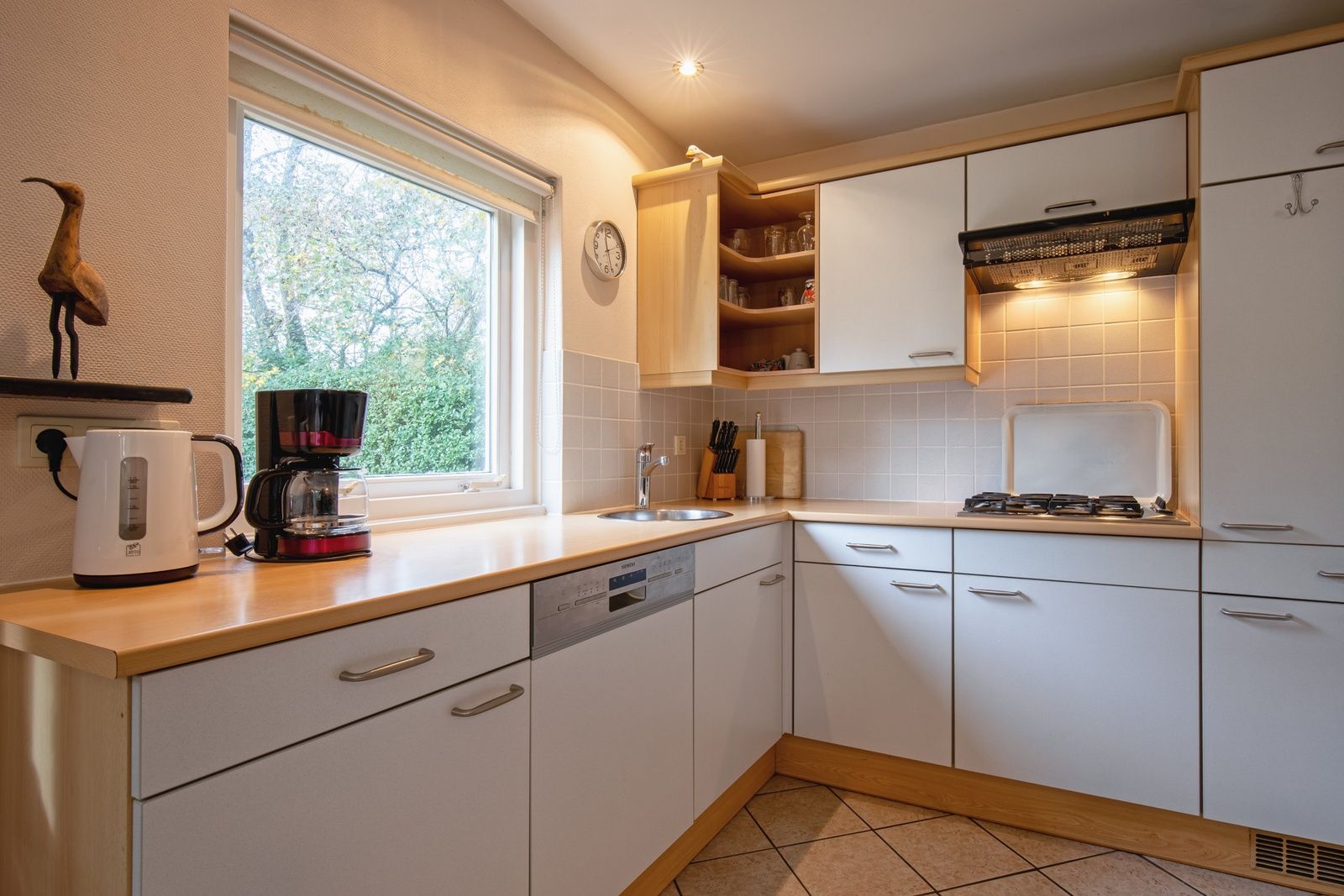 Guest house 0101313 - Holiday property Texel - Vakantiehuis Slufterduin 094