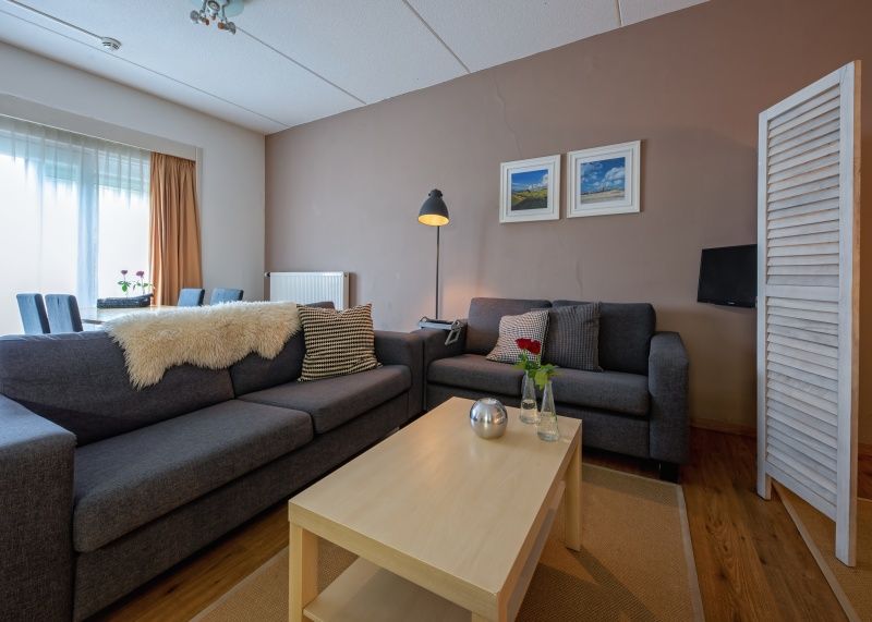 Knusse woonkamer in Type 3 - 2103 vakantieaccommodatie, De Cocksdorp, Texel, met grote ramen en veel natuurlijk licht.