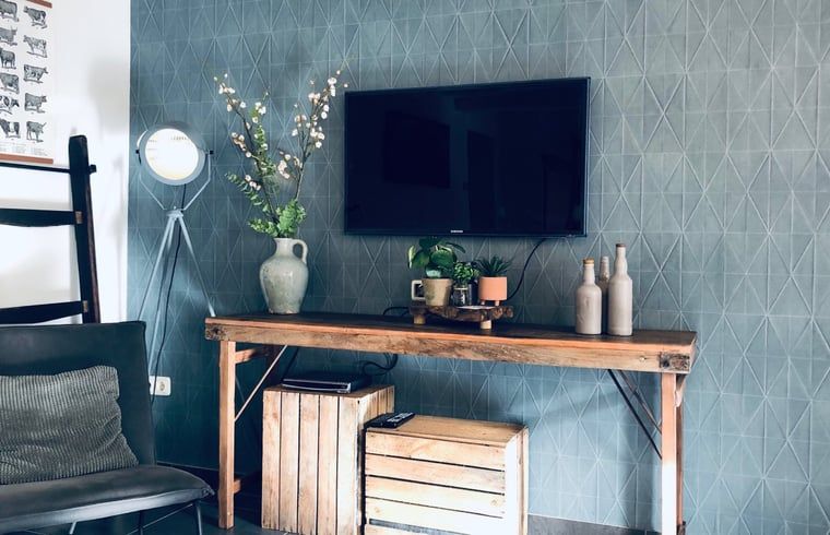 Stijlvolle woonkamerdecoratie in Vakantiehuis in De Cocksdorp, Texel.