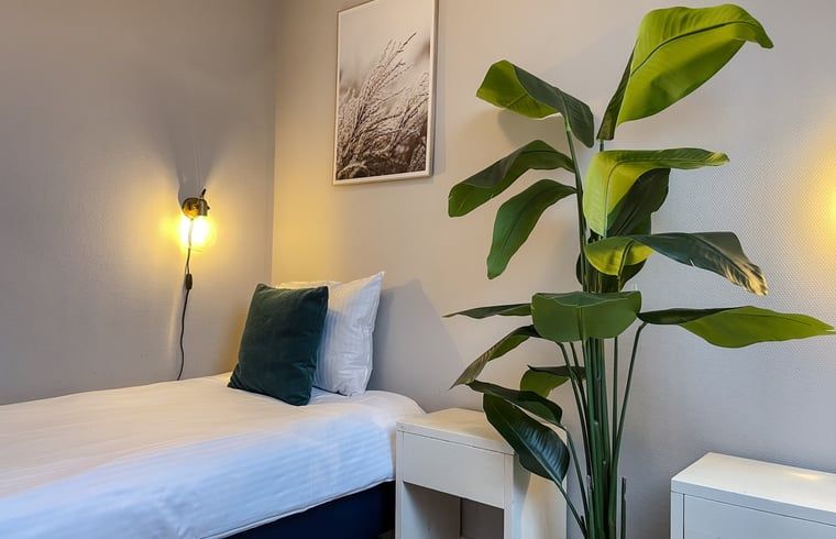 Eenpersoonskamer in Vakantiehuis in De Cocksdorp, Texel met groene plant.