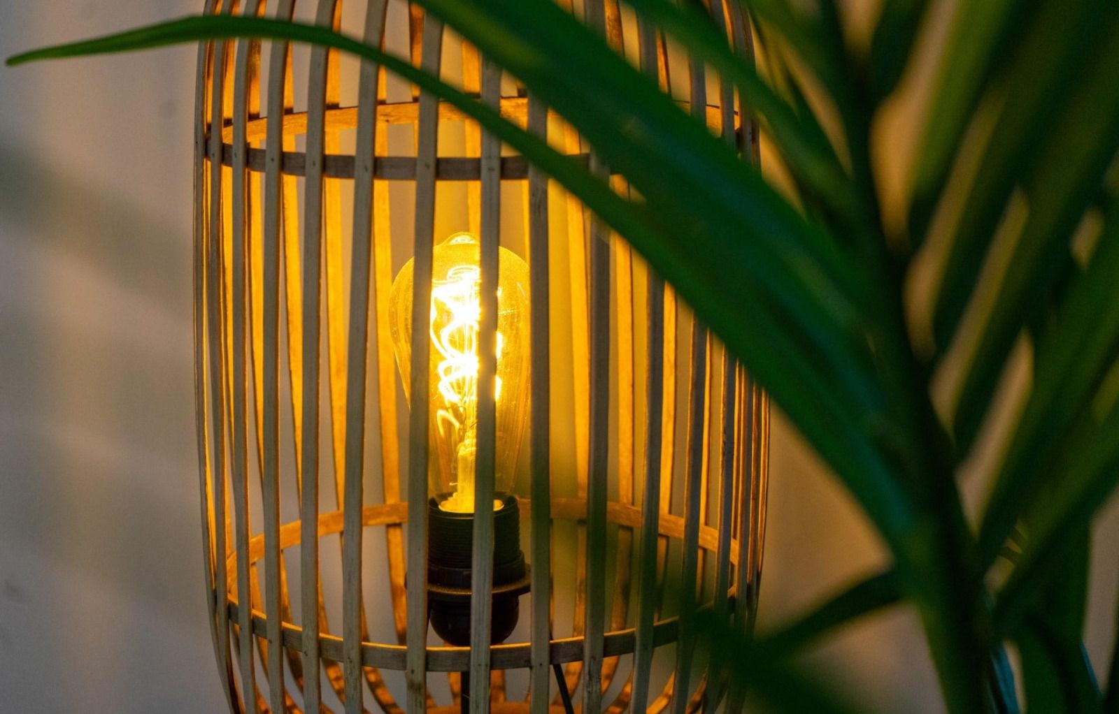 Verblijf 0101454 - Vakantiewoning Texel - Pavilion