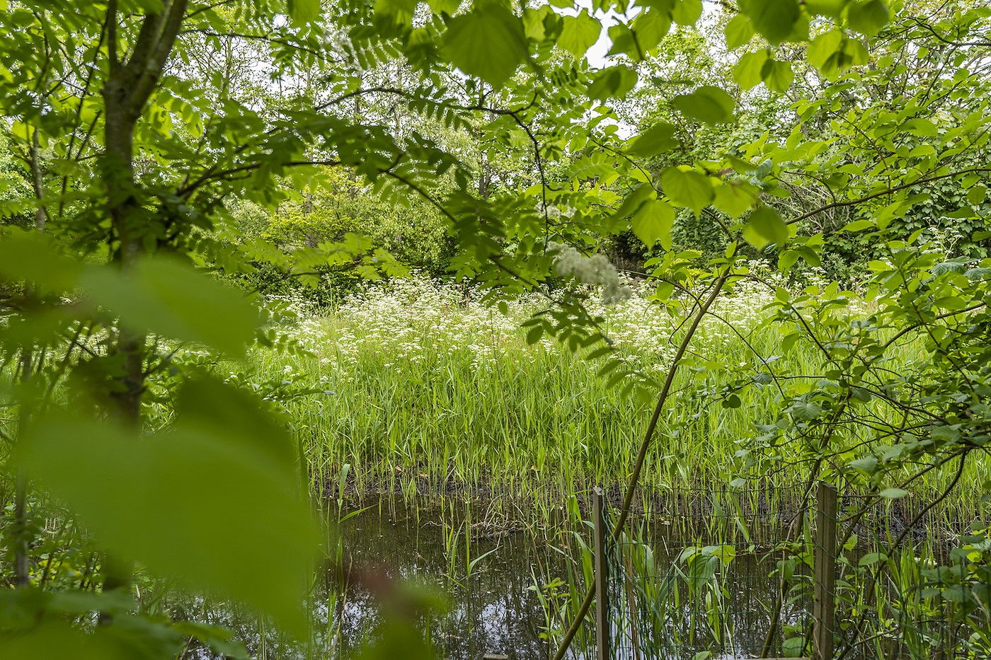 Guest house 0101460 - Holiday property Texel - 49 - Krim 698