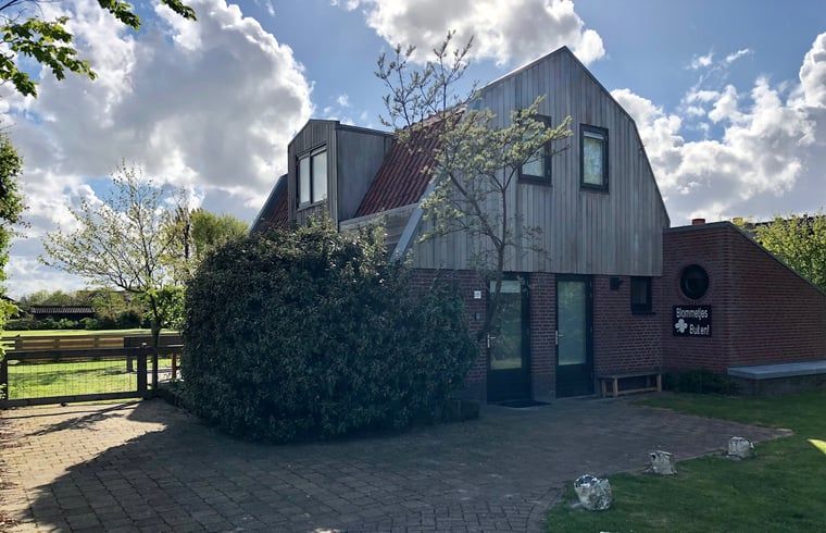 Vakantiehuis in De Cocksdorp op Texel, Waddeneilanden, omgeven door groene natuur en een uitnodigend terras.