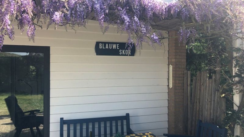 Bungalow Slufterduin - De Blauwe Skor in De Cocksdorp, Texel, met terras en paarse bloemen voor een ontspannen vakantiehuiservaring.