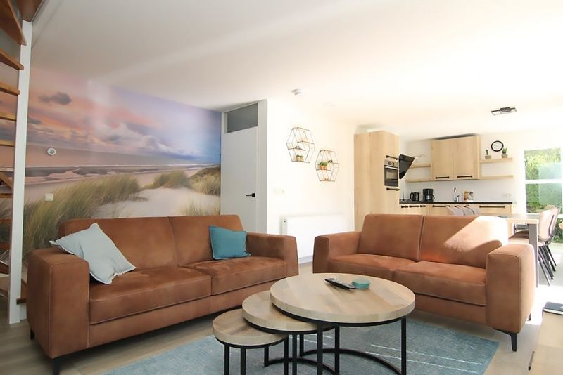 Gezellige woonkamer in Vakantiehuis D 617 in De Cocksdorp, Texel. Comfortabele zithoek met strandthema en moderne keuken.