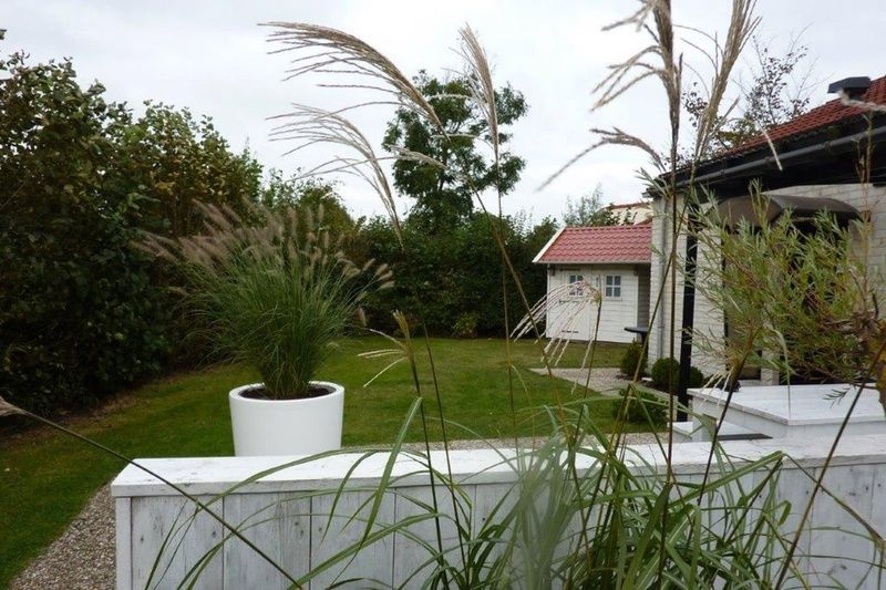 Ontspan in de tuin van Vakantiehuis D 585 in De Cocksdorp, Texel. Geniet van de groene omgeving en het rustige uitzicht op de Waddeneilanden.